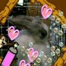 Profilbild von さくら