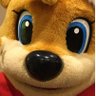 たきこ's profile picture