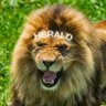 Herald profil fotoğrafı