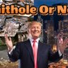 Profilbild von Shithole or Not