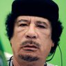Profilbild von FearNot Son of Gaddafi 🇱🇾🇷🇺🇨🇳🇧🇷🇮🇳🇿🇦
