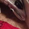 EtienneP2's profile picture
