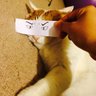 Alan's profile picture