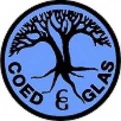 CoedGlas's profile picture