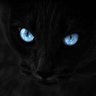 الأسطورة's profile picture