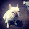 タケタ profil fotoğrafı