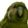 Kurai's profile picture