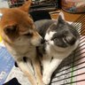 Profilbild von ひゅうがのかあさん