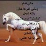 ابو العز profil fotoğrafı