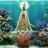 Carlos Rodriguez's profile picture