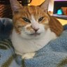 たかゆき's profile picture