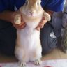 Фото профиля せんつん