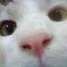 もっちん profil fotoğrafı