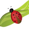 German Online Classes's profile picture
