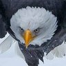 Фото профиля Jorjievich