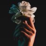 Фото профиля نفَح بآريَس