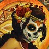 Anicade ☕ profil fotoğrafı