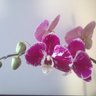 P M S profil fotoğrafı