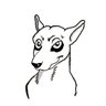 Profilbild von Vile_terrier