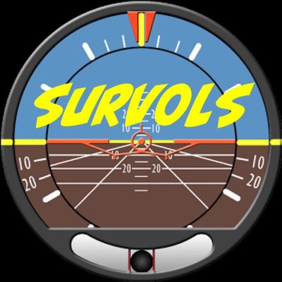 Survols's profile picture