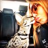 Shelley Oneal profil fotoğrafı