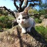 hiro船長♪ profil fotoğrafı