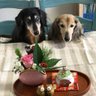 ヨッシーOK's profile picture