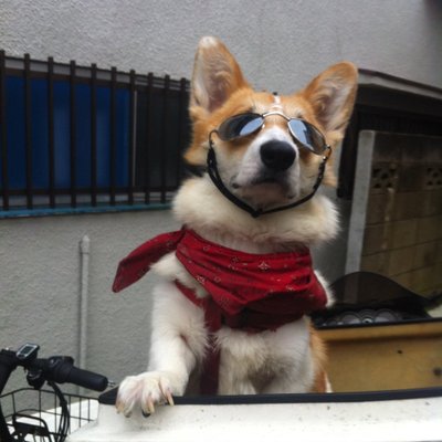 onigirry's profile picture