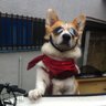 Фото профиля おにぎり