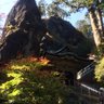 みかん 的头像