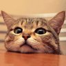 ニヘイデビル's profile picture