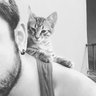 Bastet's profile picture