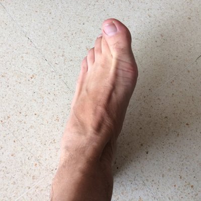 Locuras Lógicas🇵🇸🥇's profile picture