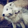 Oni~ ✧ /╲__╱\ ✧ profil fotoğrafı