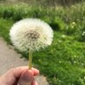 Ati profil fotoğrafı