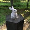 美咲 的头像
