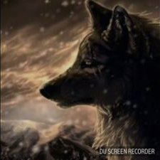 Alpha Wolf's profile picture