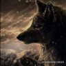 Alpha Wolf profil fotoğrafı