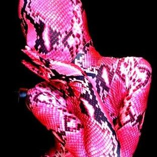 Nezumiko ZENTAI's profile picture