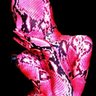 Profilbild von Nezumiko ZENTAI