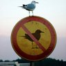 Tapin's profile picture