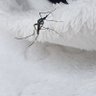 Sekuru WaTina 的头像