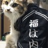 けいいちろう's profile picture