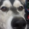 Tama profil fotoğrafı