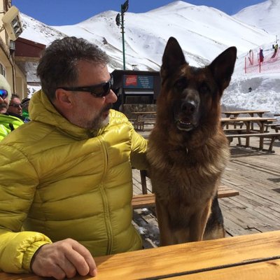 Hikmet Kaya's profile picture