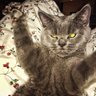 Ben profil fotoğrafı