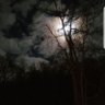 Jtoms's profile picture