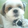 メイはかわいい(笑)'s profile picture