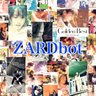 ZARDbot 的头像