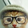 SmartCat🚩 的头像